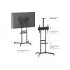 TV statīvs uz riteņiem EQUIP 37 collas–70 collas Economy 37–70 collu ekrāniem, 70 kg ietilpība, VESA 100x100–600x400, augstums 1337–1430 mm, slīpums -10°–5°, melns