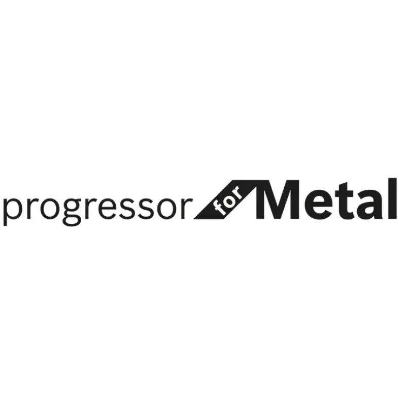Bosch S 123 XF Progressor for Metal zāģa asmeņi