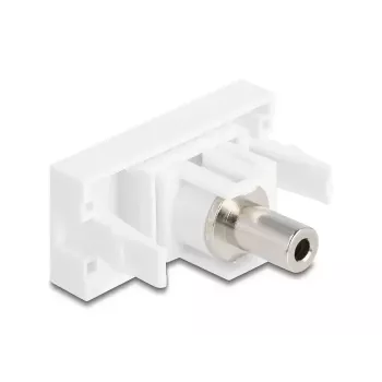 Ligzda DeLOCK 90848 2 x 3,5 mm vīrišķais balts