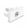 Ligzda DeLOCK 90848 2 x 3,5 mm vīrišķais balts