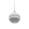 2 ceļu skaļrunis Omnitronic 80710429