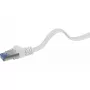 Tīkla kabelis Renkforce RF-4149849 10m Cat6a U/FTP