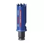 Caurumu zāģis Bosch 2 608 900 420 2,2 cm atsevišķs urbjmašīnai