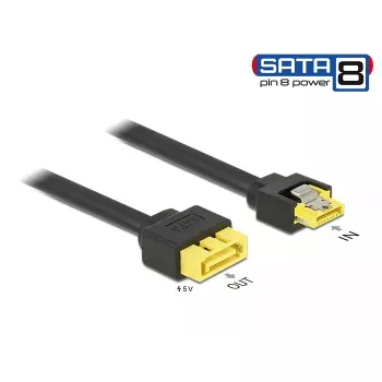 SATA kabelis DeLOCK 0,3m SATA/SATA 8p