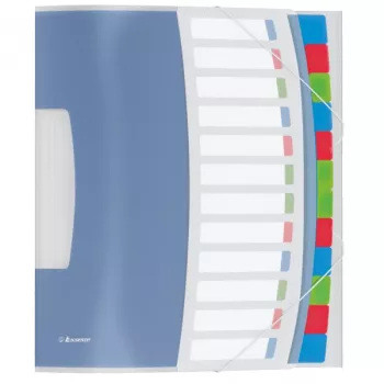 Esselte Divider Book Vivida PP 12 iedaļas, zila, daudzkrāsains, Polivinilhlorīds (PVC), A4, 266 mm, 20 mm, 320 mm