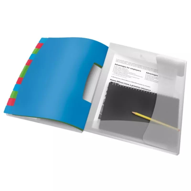 Esselte Divider Book Vivida PP 12 iedaļas, zila, daudzkrāsains, Polivinilhlorīds (PVC), A4, 266 mm, 20 mm, 320 mm