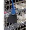 Kabeļu dzimuma mainītājs Renkforce RF-4087413