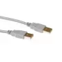 USB 2.0 A spraudnis - USB A spraudnis, ziloņkaula krāsā, 3,00 m, ACT SB2503