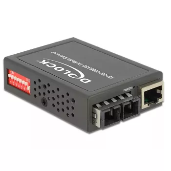 Tīkla multivides pārveidotājs DeLOCK 86441