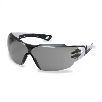 Aizsargbrilles Uvex 9198237