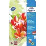 Fotopapīrs Avery C2550-50