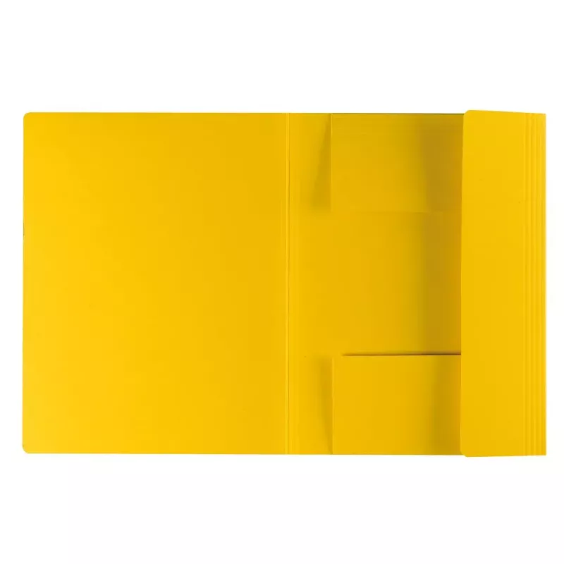 Kartona mape Herlitz 11076437