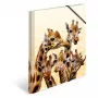 Tradicionālā dokumentu mape HERMA Giraffe friends Polipropilēns (PP) Daudzkrāsains A4