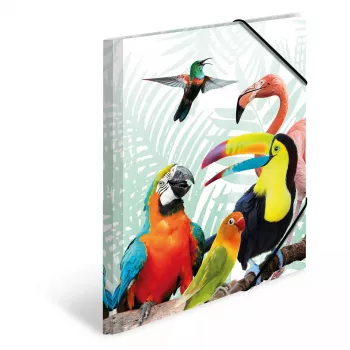 Parastā dokumentu mape HERMA Tropical clique