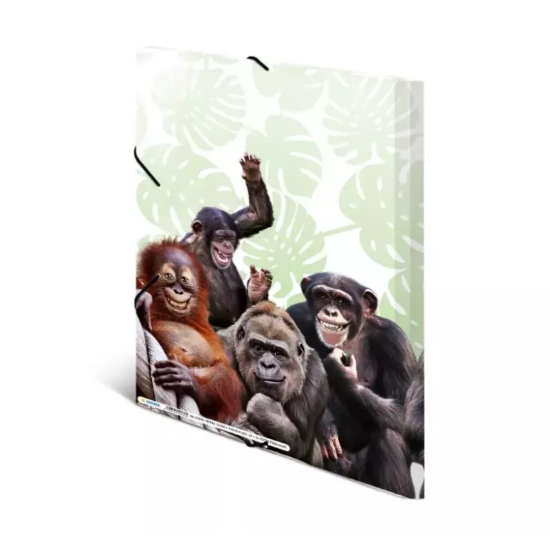 Parastā dokumentu mape HERMA Monkey gang 19960