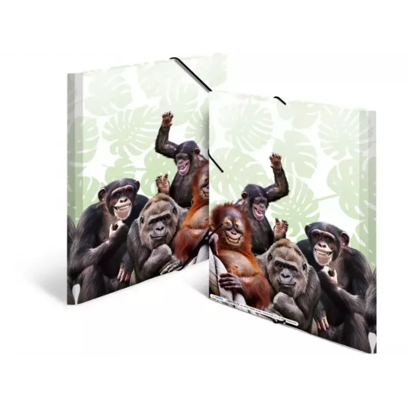 Parastā dokumentu mape HERMA Monkey gang 19960