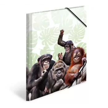 Parastā dokumentu mape HERMA Monkey gang 19960