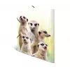 Parasta aktu mape HERMA Meerkat troop 19961