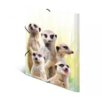 Parasta aktu mape HERMA Meerkat troop 19961