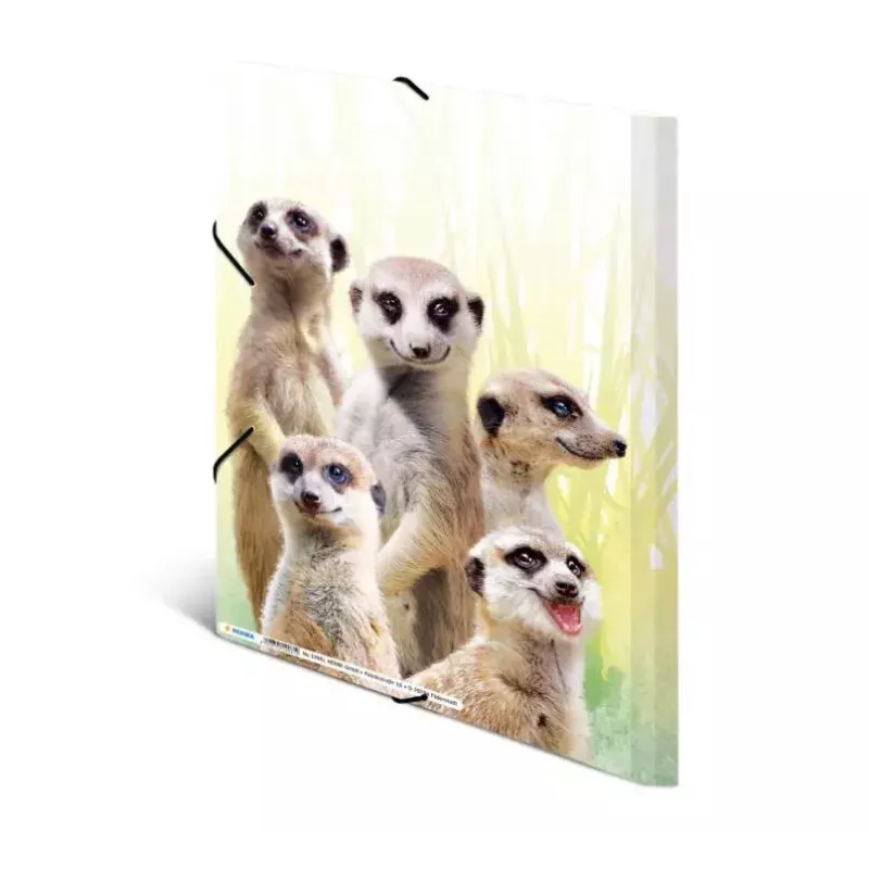 Parasta aktu mape HERMA Meerkat troop 19961