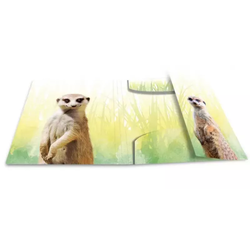 Parasta aktu mape HERMA Meerkat troop 19961