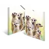 Parasta aktu mape HERMA Meerkat troop 19961