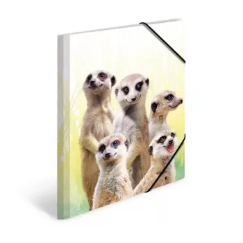 Parasta aktu mape HERMA Meerkat troop 19961