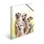 Parasta aktu mape HERMA Meerkat troop 19961