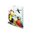 Standarta dokumentu mape HERMA Tropical clique A3