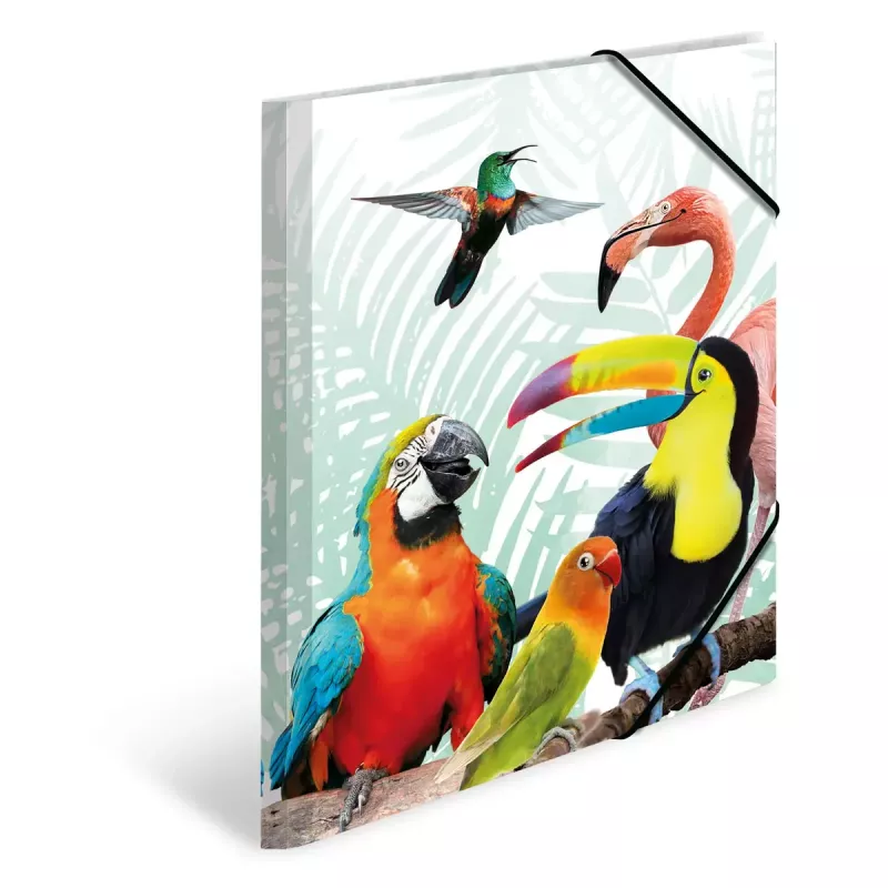 Standarta dokumentu mape HERMA Tropical clique A3