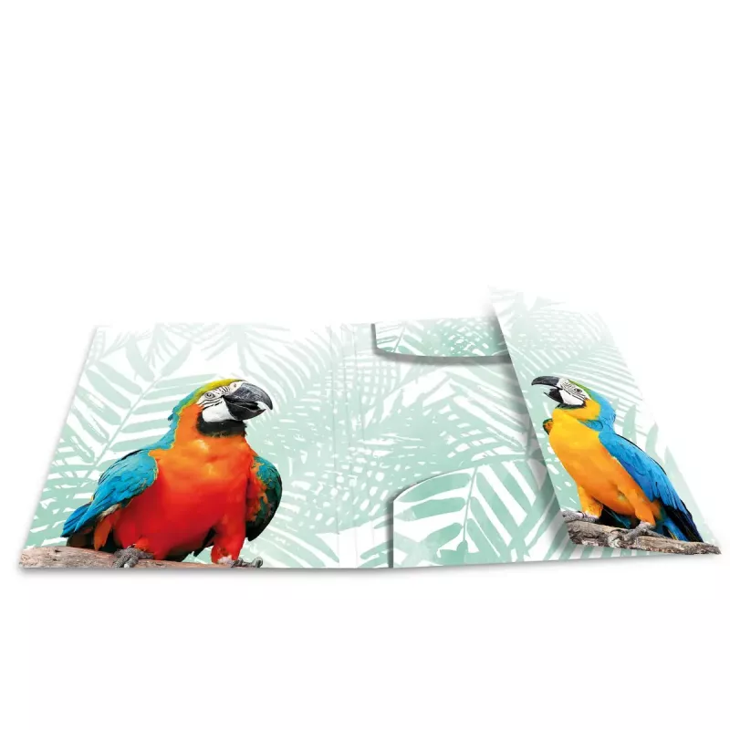 Standarta dokumentu mape HERMA Tropical clique A3