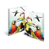 Standarta dokumentu mape HERMA Tropical clique A3
