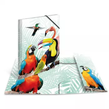 Standarta dokumentu mape HERMA Tropical clique A3