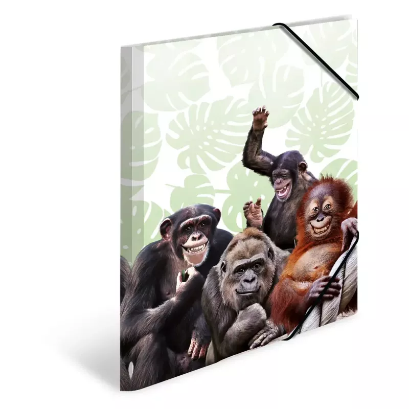 Parastā aktu mape HERMA Monkey gang Polipropilēns A3