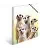 Parasta dokumentu mape HERMA Meerkat troop
