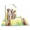 Parasta dokumentu mape HERMA Meerkat troop