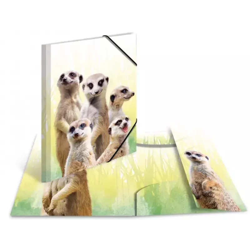 Parasta dokumentu mape HERMA Meerkat troop
