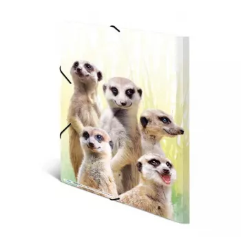 Parasta dokumentu mape HERMA Meerkat troop