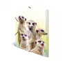 Parasta dokumentu mape HERMA Meerkat troop