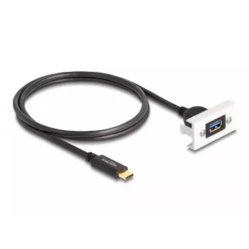 DeLOCK Easy 45 modulis SuperSpeed USB 10 Gbps USB Type-A ligzda uz USB Type-C spraudnis