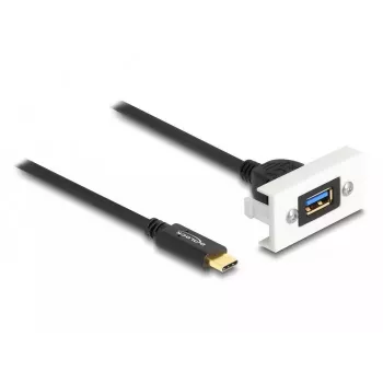 DeLOCK Easy 45 modulis SuperSpeed USB 10 Gbps USB Type-A ligzda uz USB Type-C spraudnis