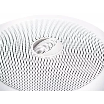 2-way Loudspeaker Omnitronic 80710232 balta Wired 40 W