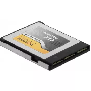 Cietvielu disks DeLOCK 54064 64GB PCI Express NVMe