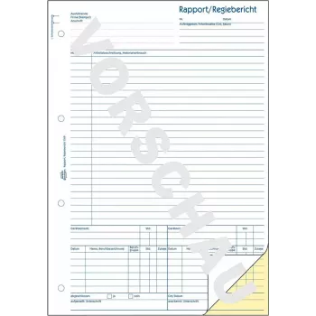 Grāmatvedības veidlapa/grāmata AVERY 1769 A4 40 lapas