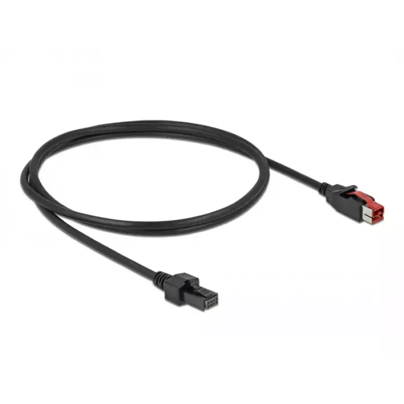 Powered USB kabelis DeLOCK 85950 24 V uz 2 x 4 pin vīrišķais 1 m