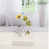 Vienas fotogrāfijas rāmis Hama Classic 00057743 caurspīdīgi balts