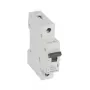 Legrand RX3 ķēdes pārtraucējs Miniatūrs ķēdes pārtraucējs B tips 1
