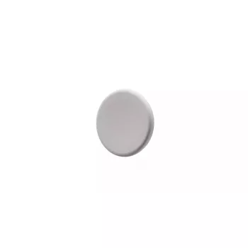 Magnēti stikla tāfelei Legamaster silti pelēki, metāla, 30×7 mm, 5 gab. iepakojumā