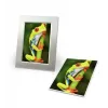 Avery C2549-20P High-gloss fotopapīrs
