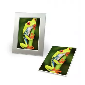 Avery C2549-20P High-gloss fotopapīrs
